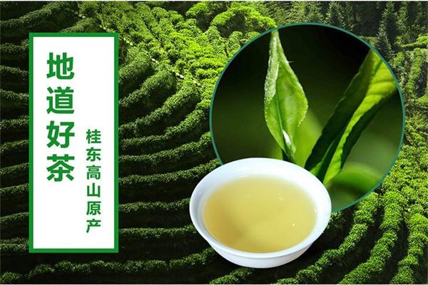 桂东玲珑茶